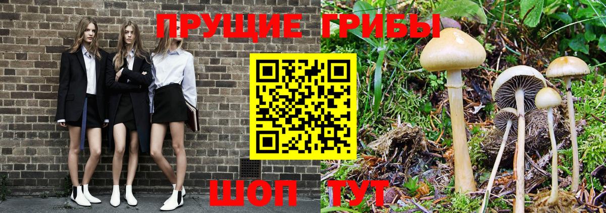 магазин  наркотиков  Вход с VPN  Мичуринск  Псилоцибиновые грибы Magic Shrooms 
